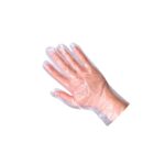 Disposable Gloves
