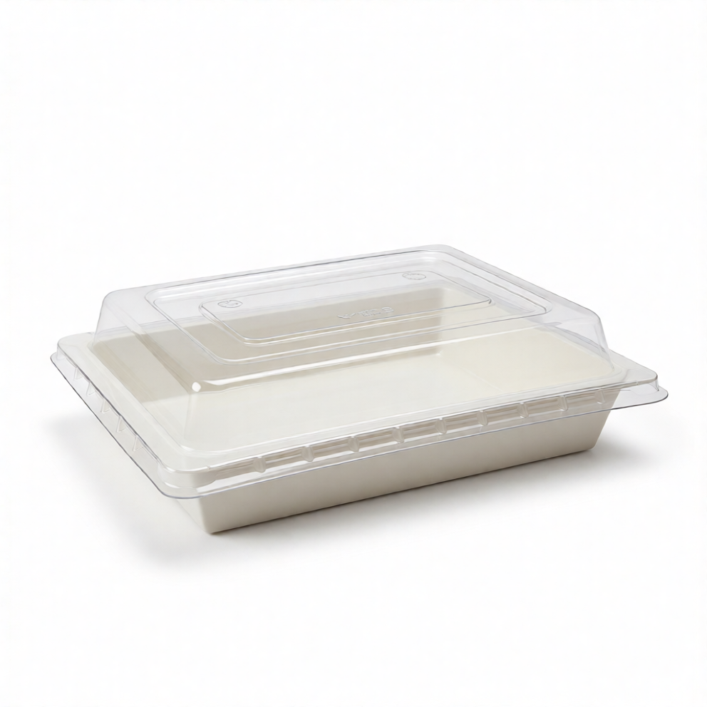 Rectangular-Boxes-With-Trasparent-Lid.png Rectangular Boxes With Transparent Lid - Image 1