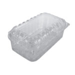 Fruit Plastic Containers
