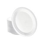 Biodegradable Sugarcane Oval Plate